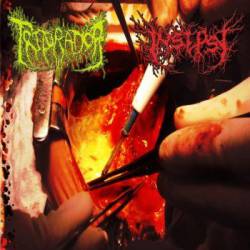 Triturador (BRA-1) : Triturador - Insepsy